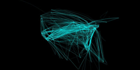 个空客A320航班计划24小时内在北美飞行的路线，此图突出了纽约、迈阿