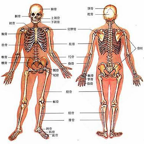 揭秘：汽车用什么来保证碰撞安全