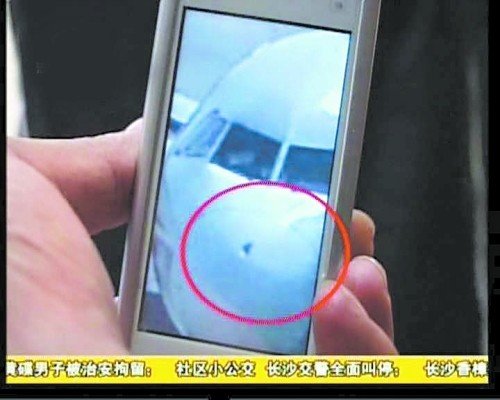 川航飞机5100米高空遭鸟撞击 前舱撞出窟窿(图)