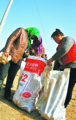 比一比谁捡拾得多。